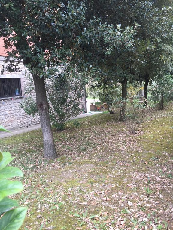 Appartamento Dell Agriturismo Pane E Olio Todi Exterior photo